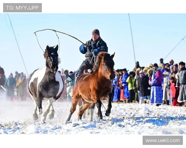马背天骄:锡林郭勒草原驯马人的传奇与传承